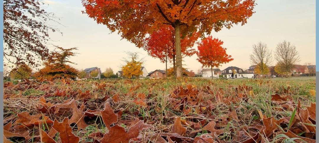 Dein Foto der Woche 2023