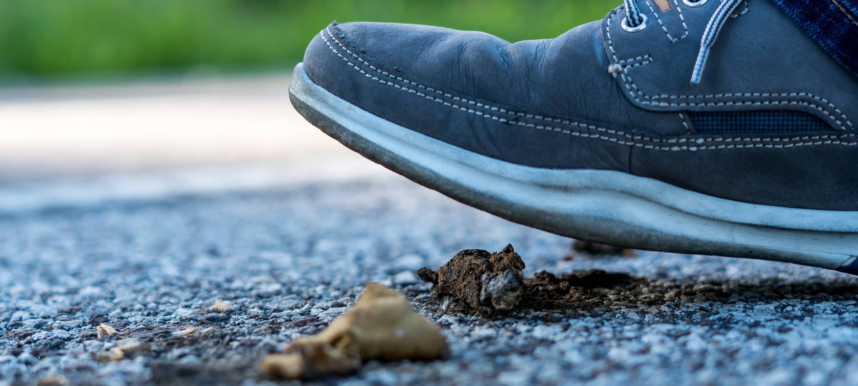 Ärger mit Hundekot in Ahaus