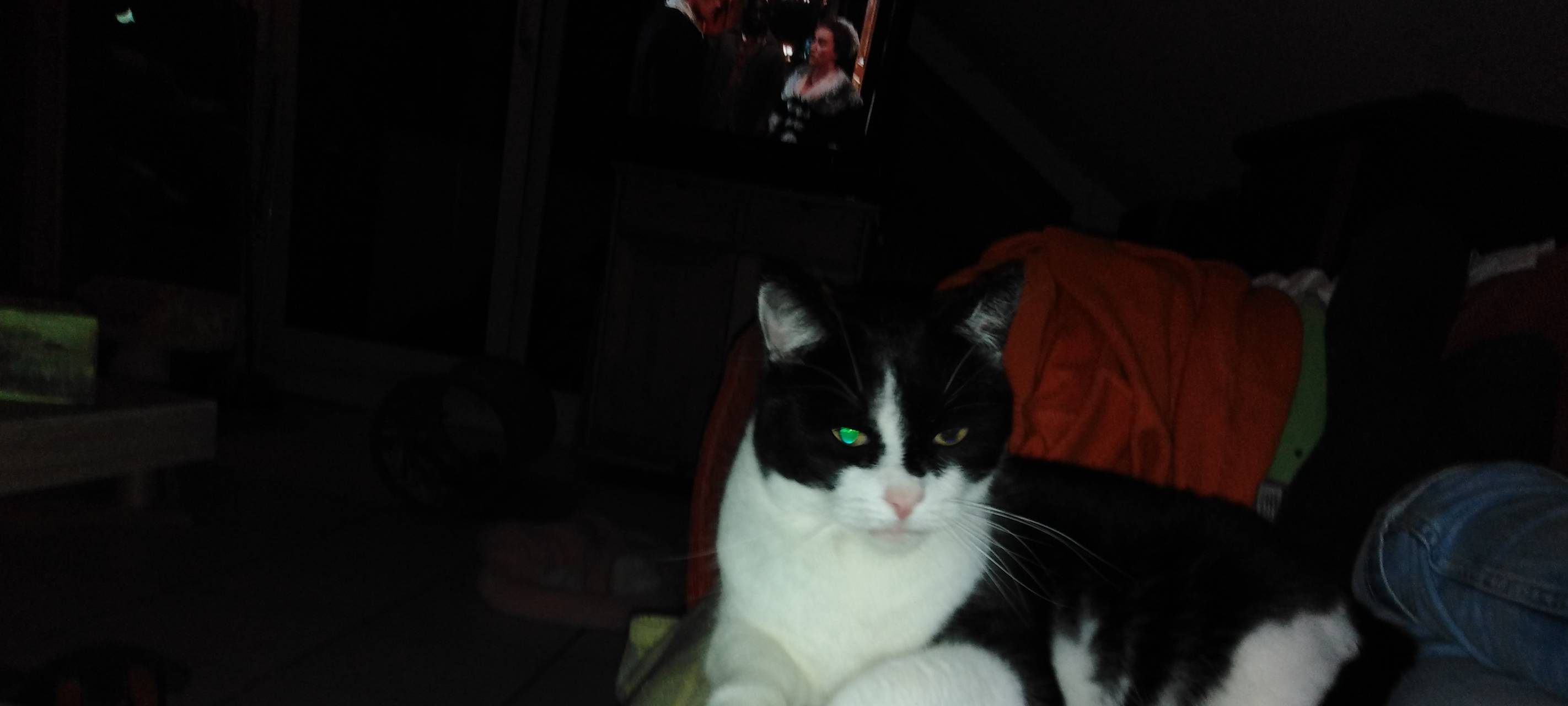 Face wird gesucht
