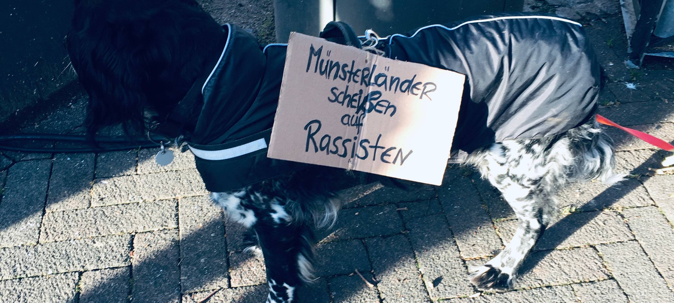 4500 bis 5000 bei Borkener Demo