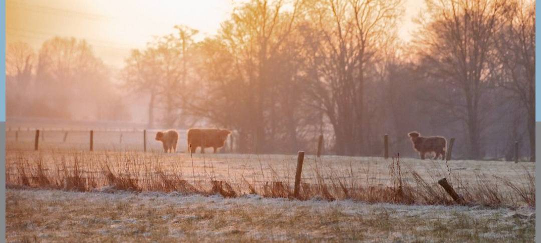 Dein Foto der Woche 2024