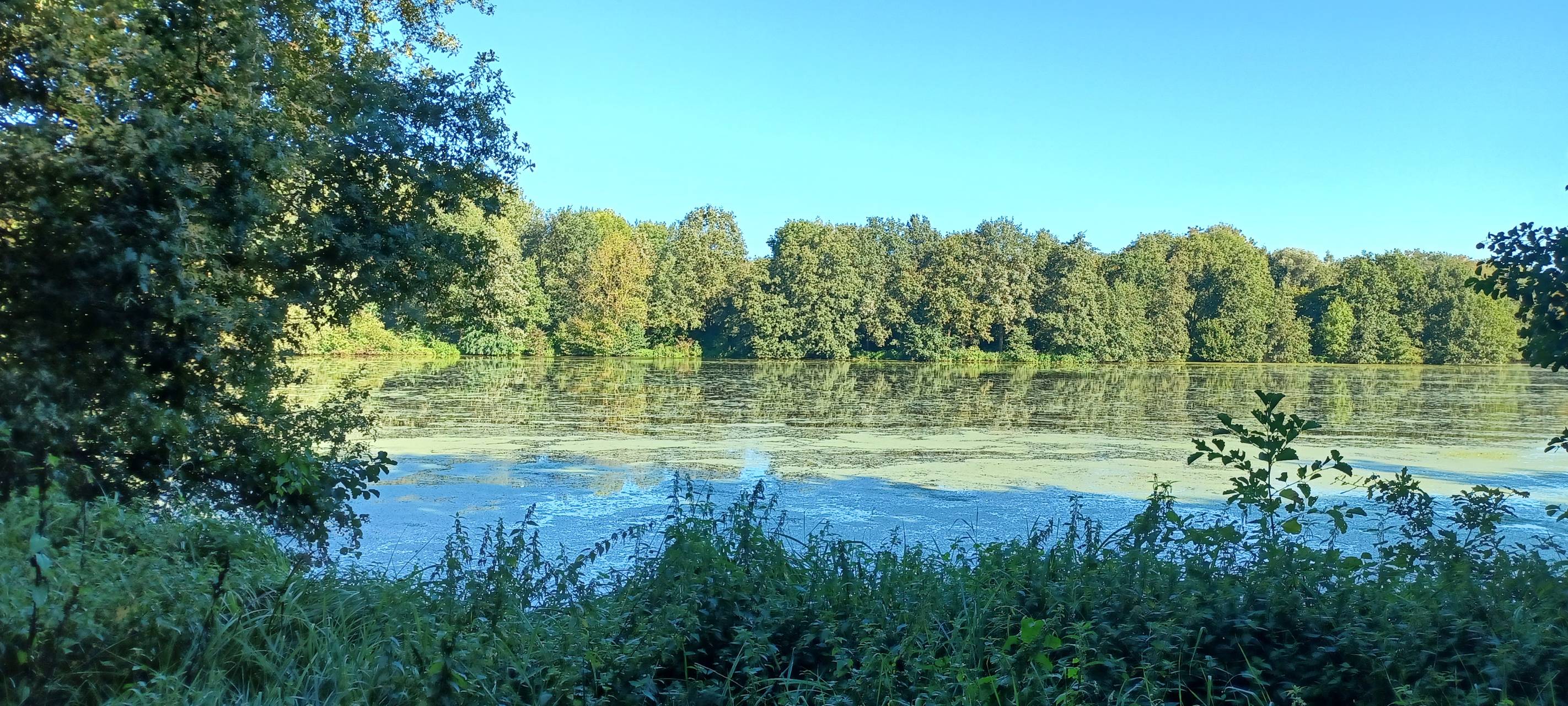 Drei neue Brücken am Pröbstingsee