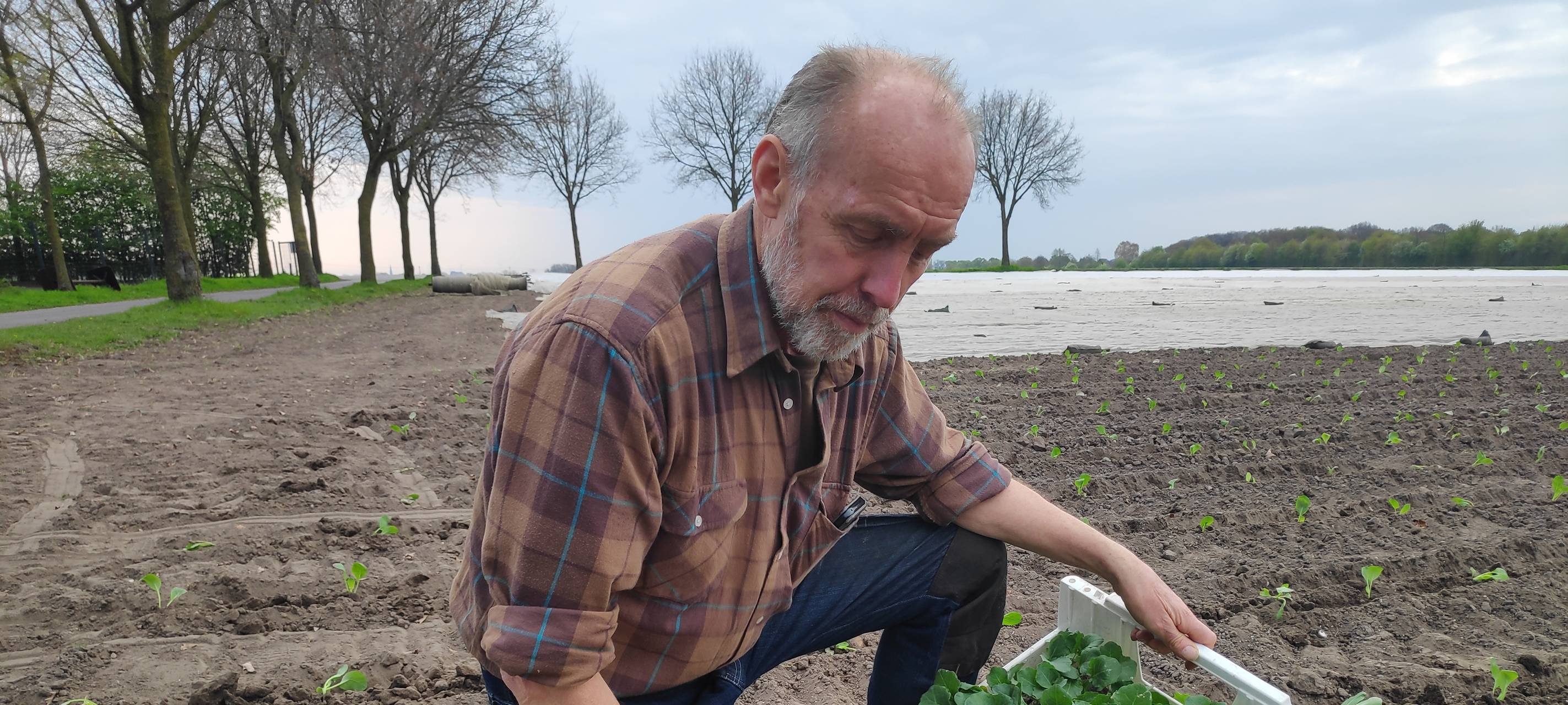 Das perfekte Gemüsebeet