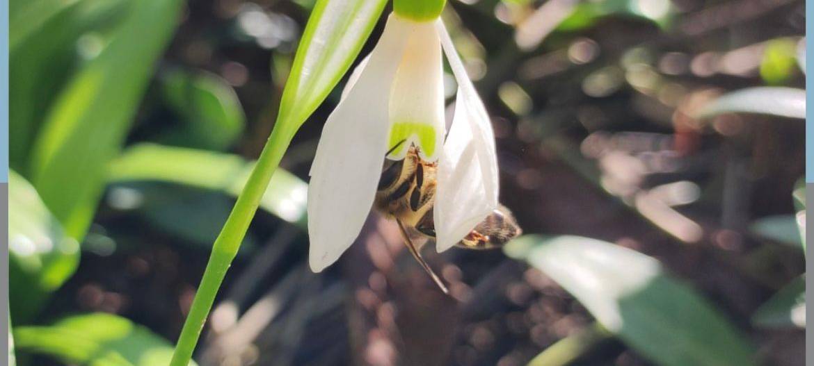 Dein Foto der Woche 2024