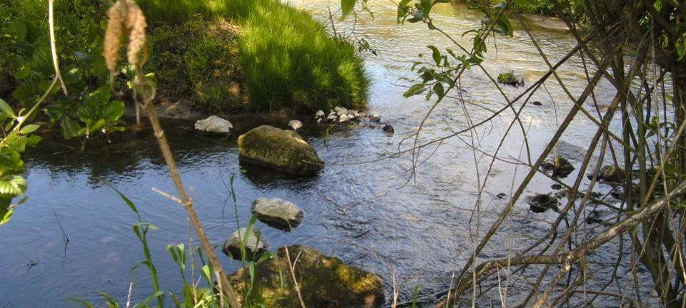 Bitte um sparsame Wasserentnahme