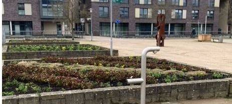 Am Tag des Wassers: Wo gibt es öffentliche Trinkwasser-Brunnen im Kreis Borken?