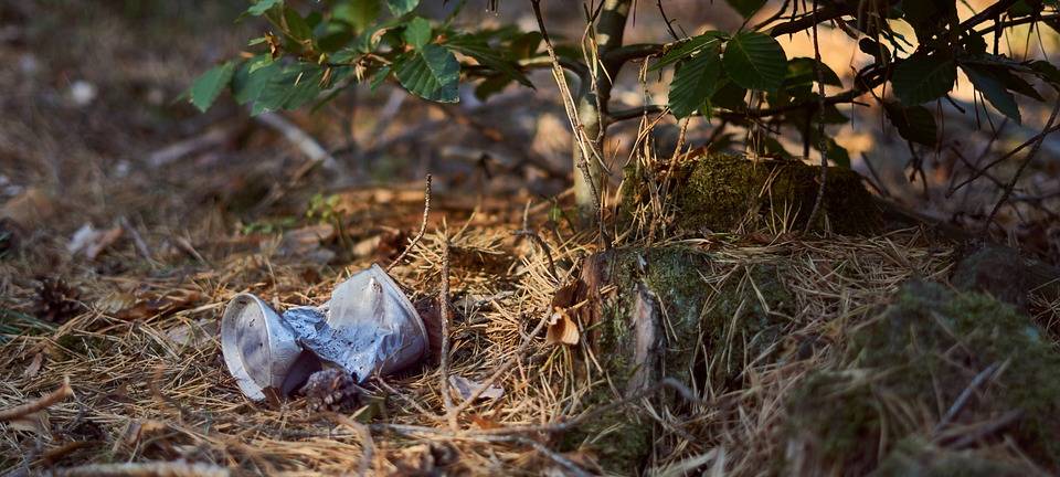 Müll gehört nicht in den Wald!