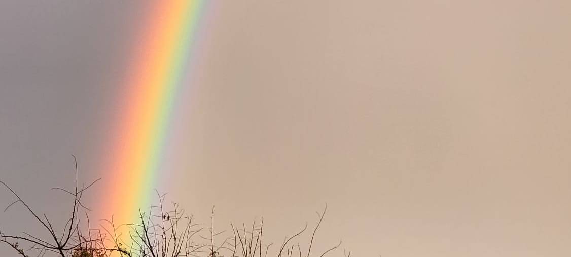 Regenbogen im Westmünsterland