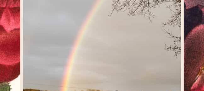 Regenbogen im Westmünsterland