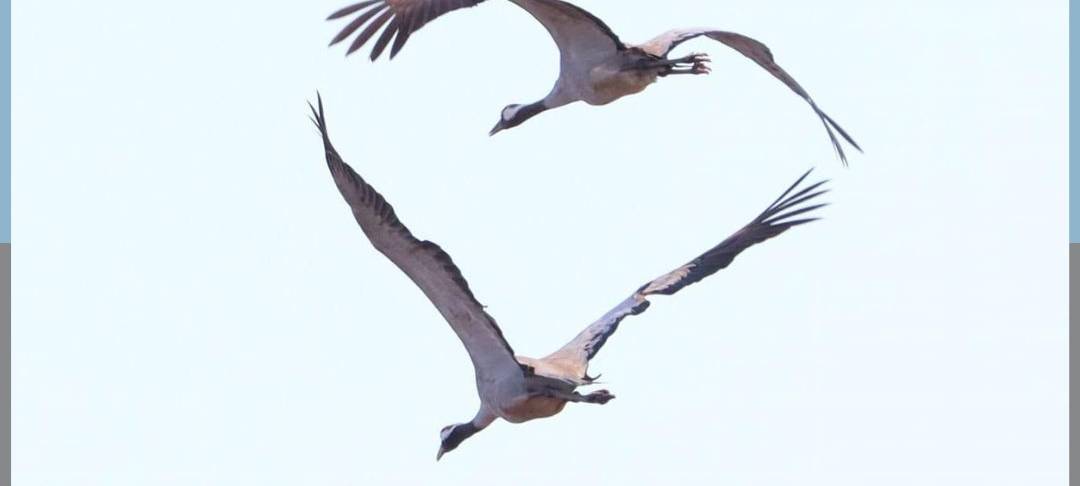 Dein Foto der Woche 2024