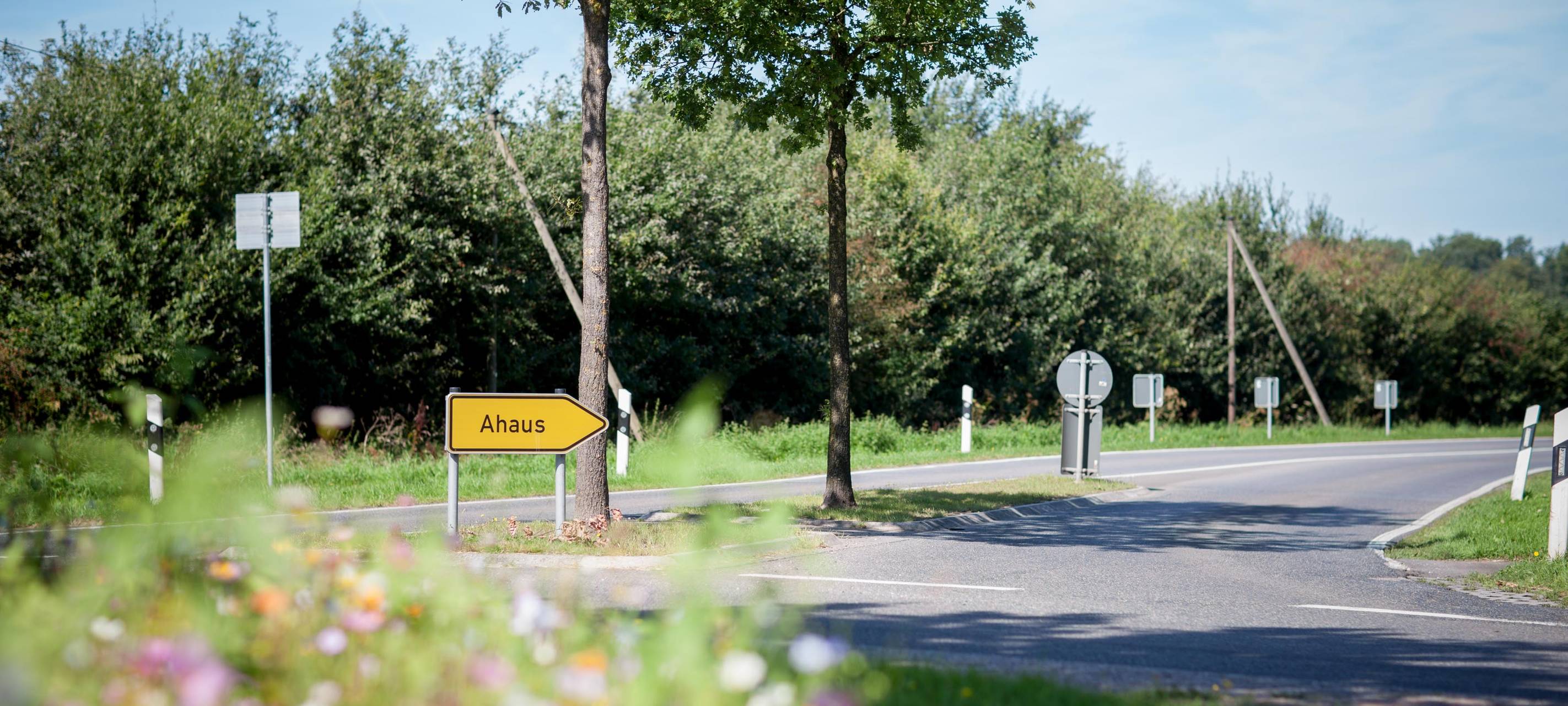 Mäharbeiten an Straßenrändern