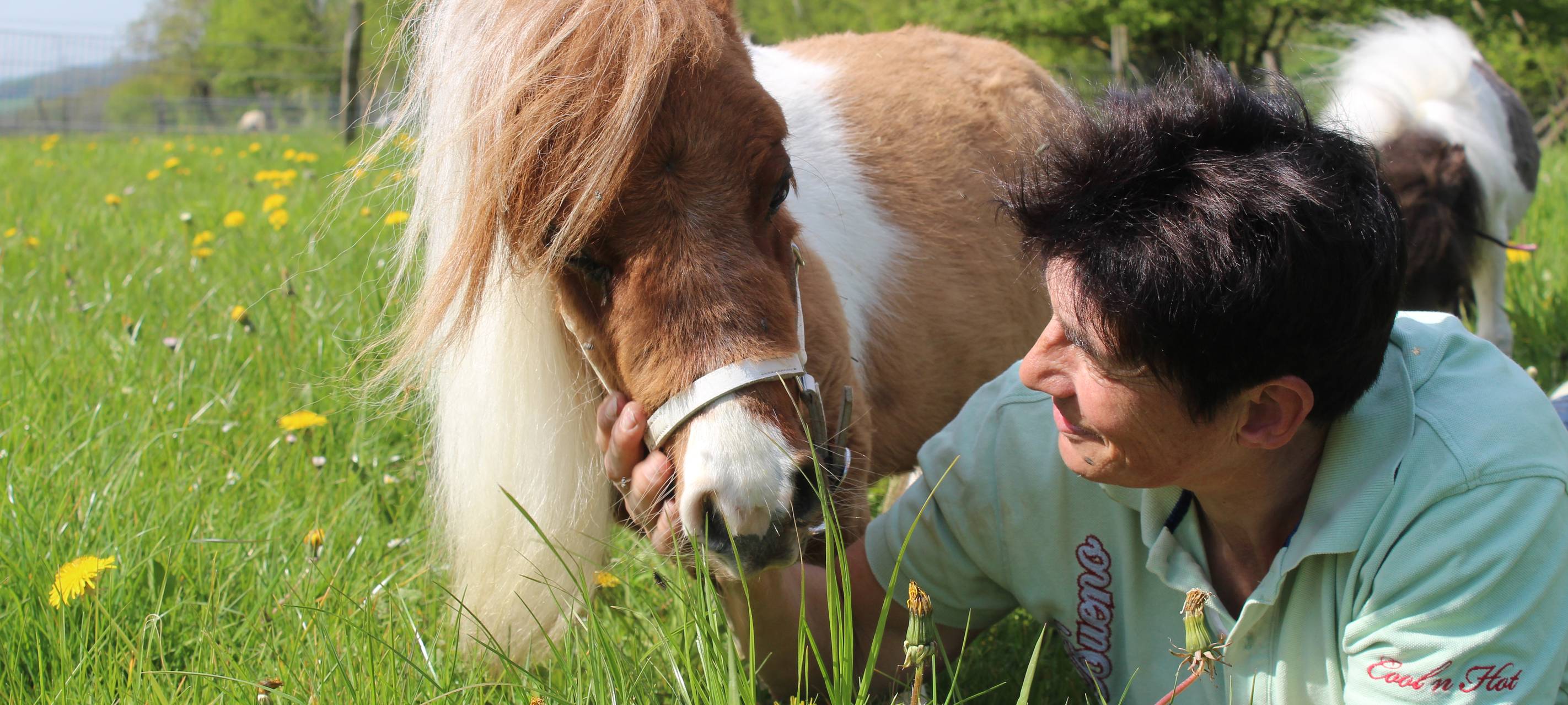 Das kleinste Pony der Welt