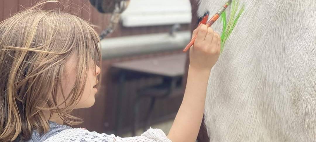 Reittherapiezentrum Stadtlohn sucht nach Bundesfreiwilligen