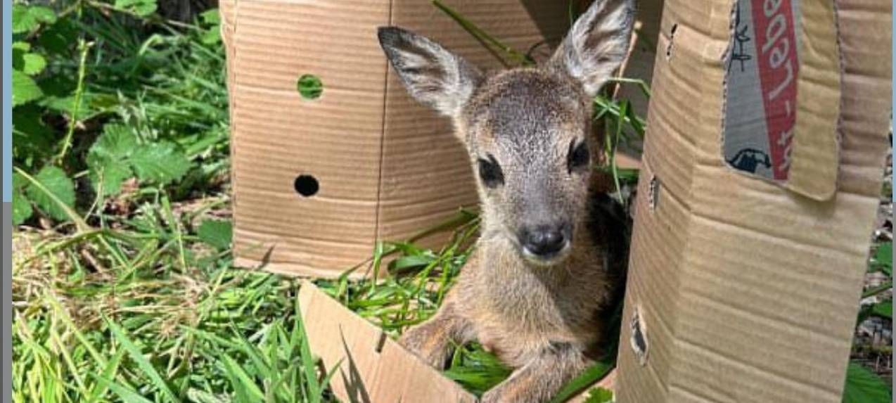 Dein Foto der Woche 2024