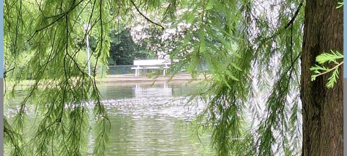 Dein Foto der Woche 2024