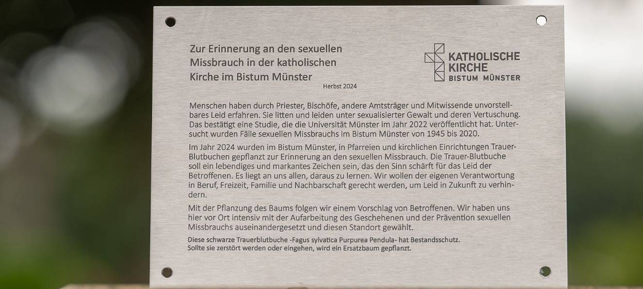 Blutbuchen als Erinnerung