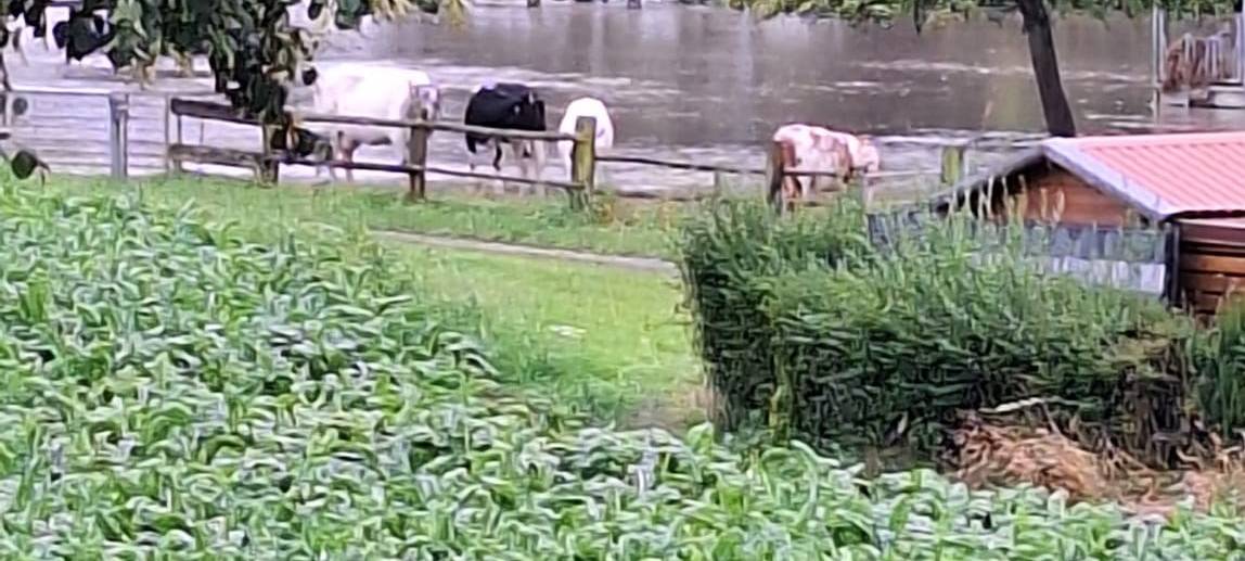 Straßen in Asbeck unter Wasser