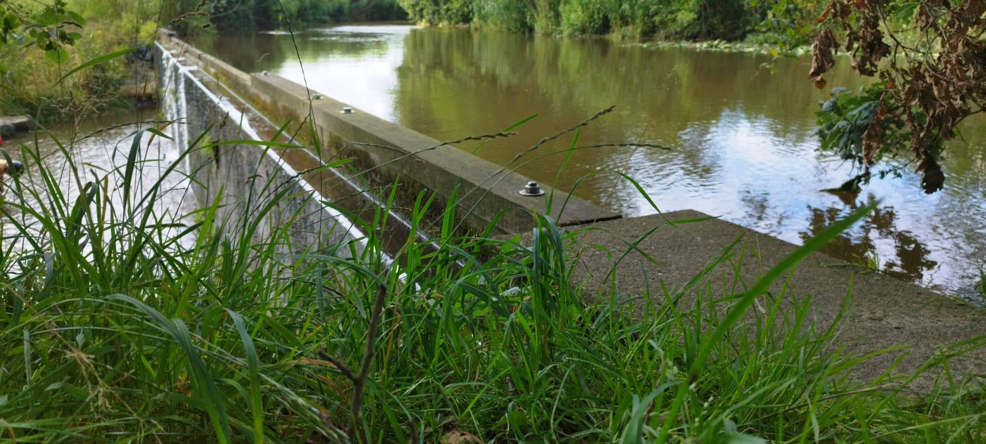 Sommer HotSpot: Dinkelüberlauf in Nienborg