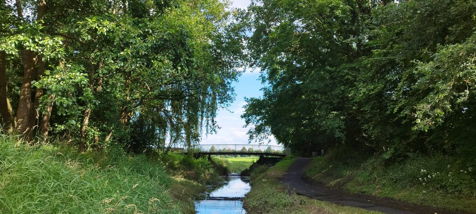 Sommer HotSpot: Dinkelüberlauf in Nienborg