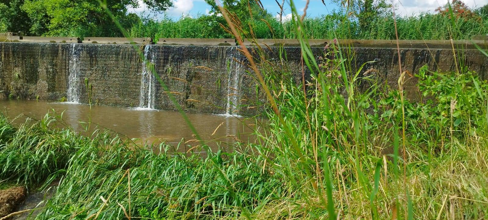 Sommer HotSpot: Dinkelüberlauf in Nienborg