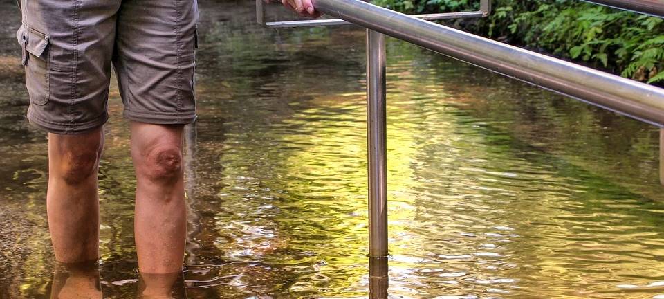 Sommer HotSpot: Tretbecken Reken
