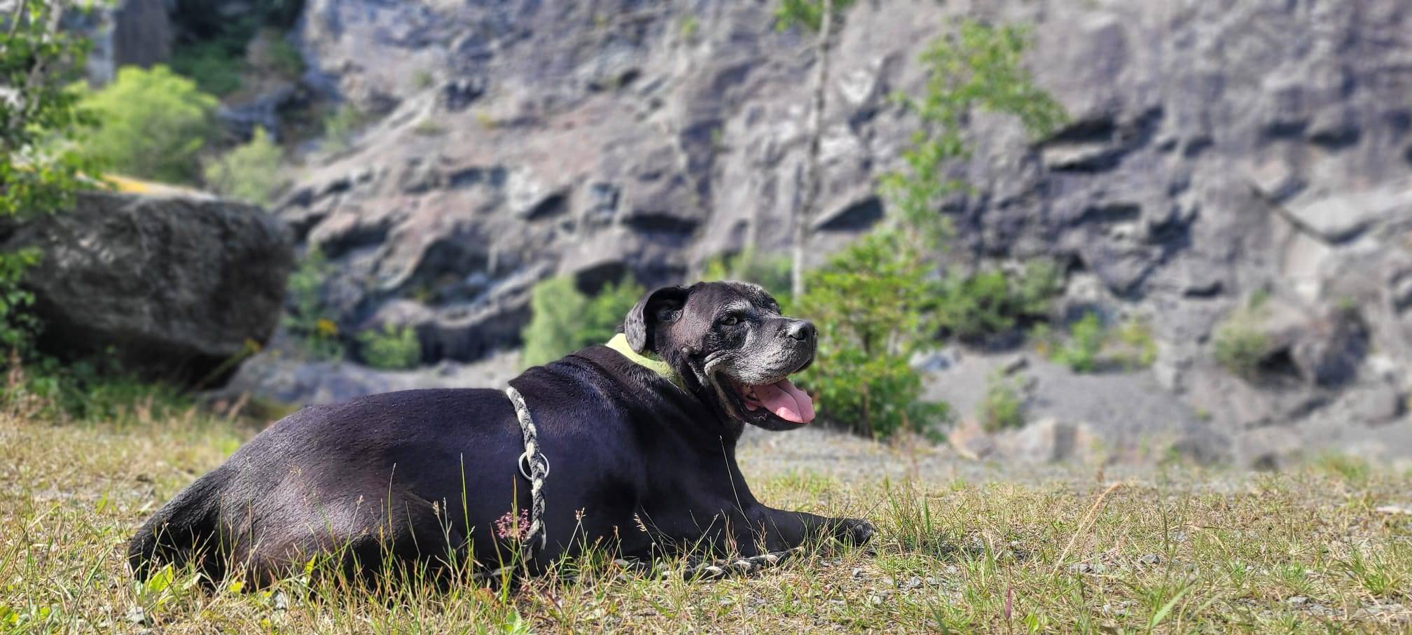 Das geheime Geschenk bringt Natascha in den Urlaub