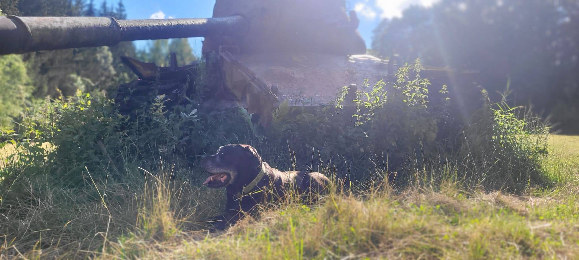 Das geheime Geschenk bringt Natascha in den Urlaub