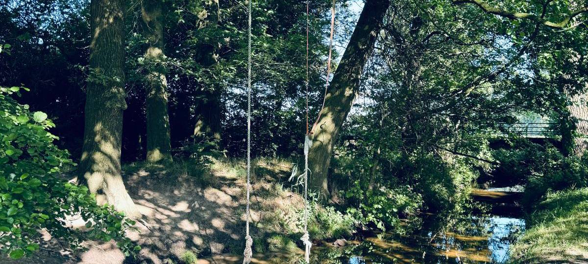 Sommer HotSpot: Hunde Abkühlung