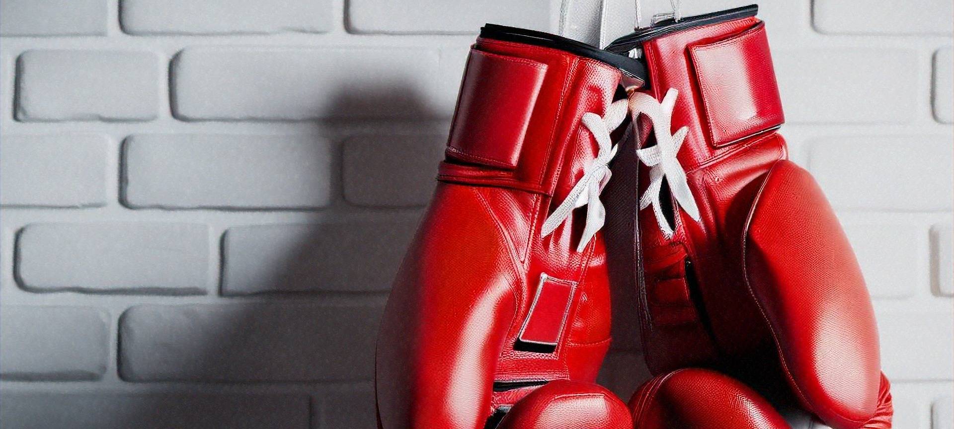 Stefan Raab ist zurück