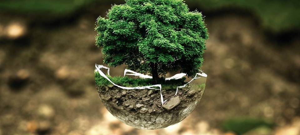 Borkener Klimakonzept