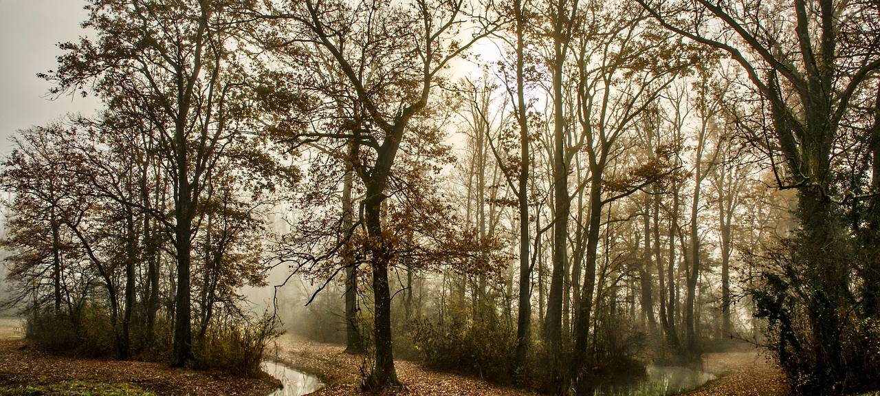 Bachproblem im Westmünsterland