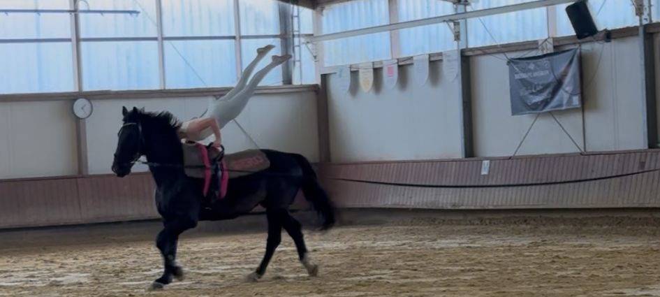 1.000€ für den Reit- & Fahrverein St. Georg in Ottenstein