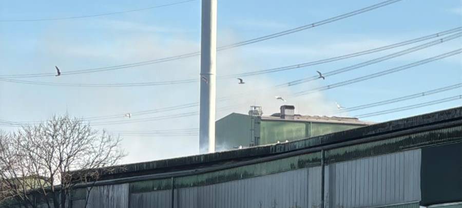 Brand im Entsorgungsbetrieb Borchers: Feuerwehr im Großeinsatz