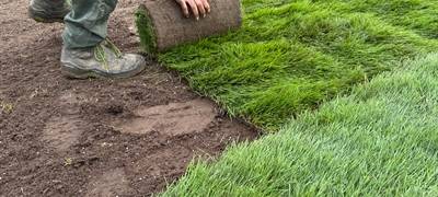Neuer Rollrasen an Badebucht Aasee Bocholt