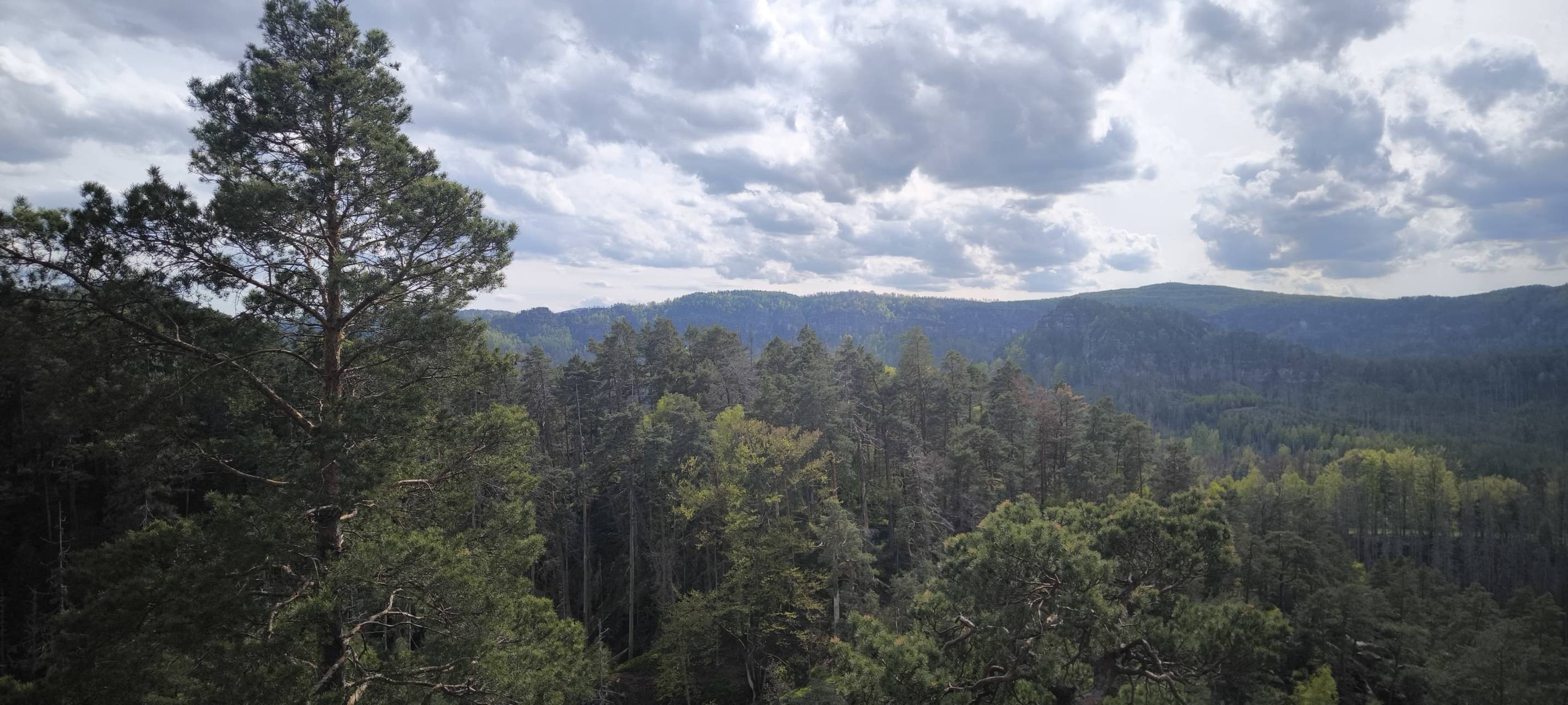 Daniel ist back: Abenteuer in der Sächsischen Schweiz