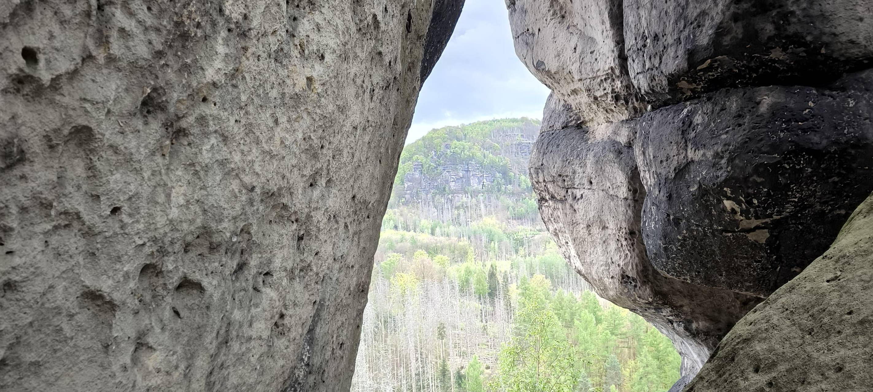 Daniel ist back: Abenteuer in der Sächsischen Schweiz