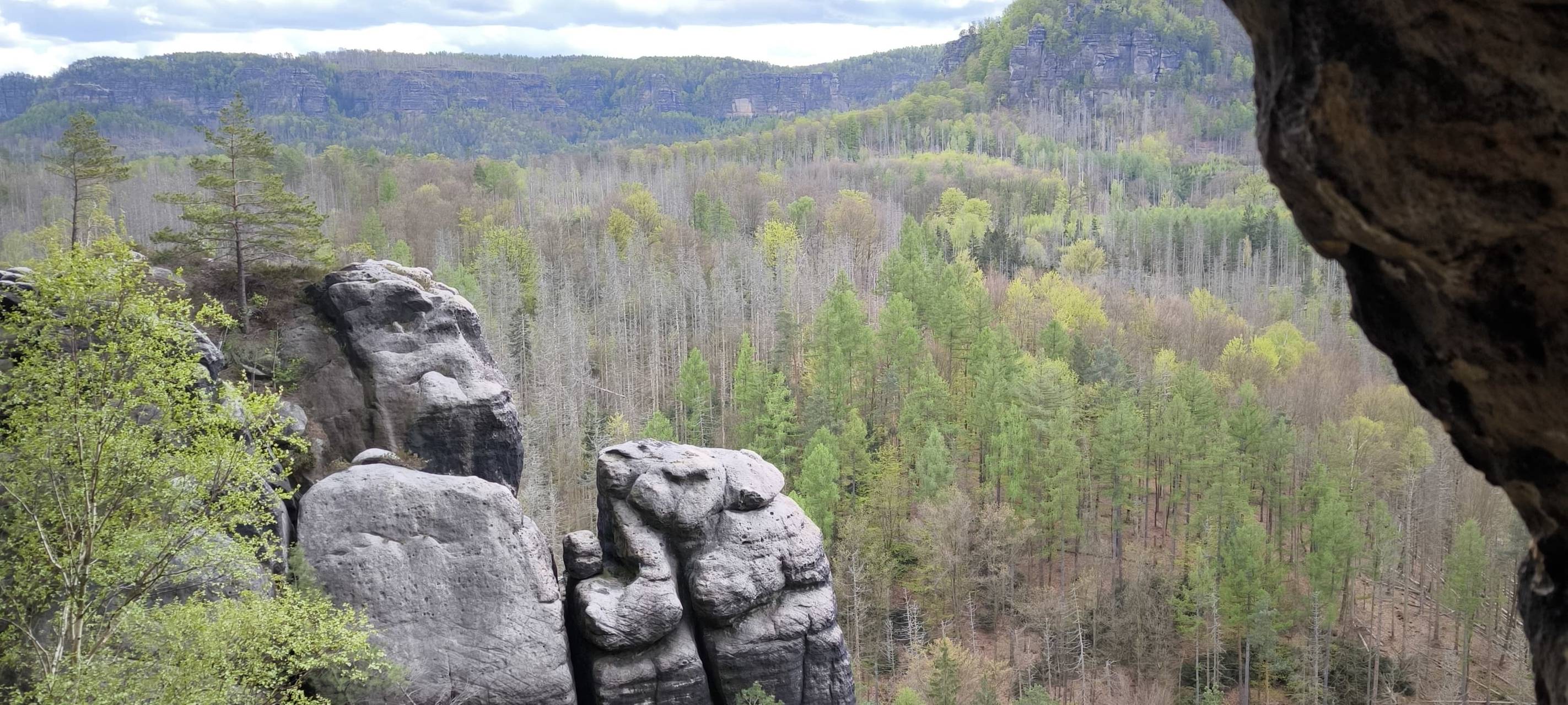 Daniel ist back: Abenteuer in der Sächsischen Schweiz