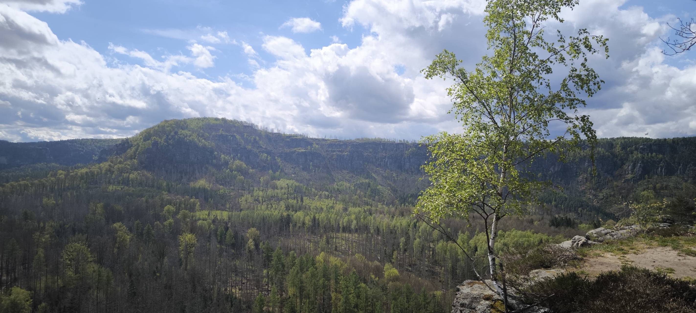 Daniel ist back: Abenteuer in der Sächsischen Schweiz