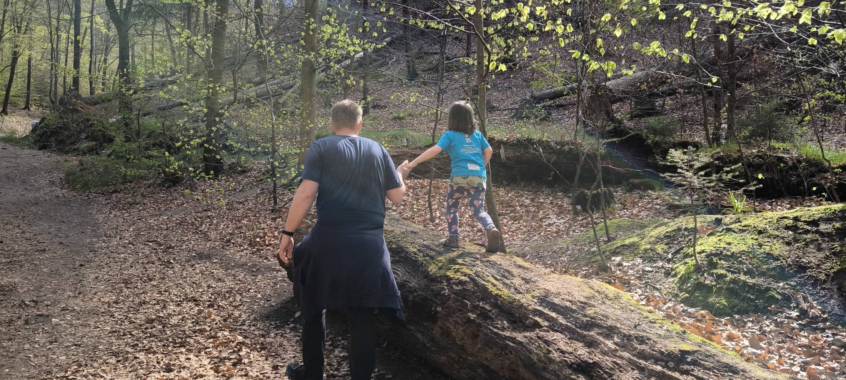 Daniel ist back: Abenteuer in der Sächsischen Schweiz