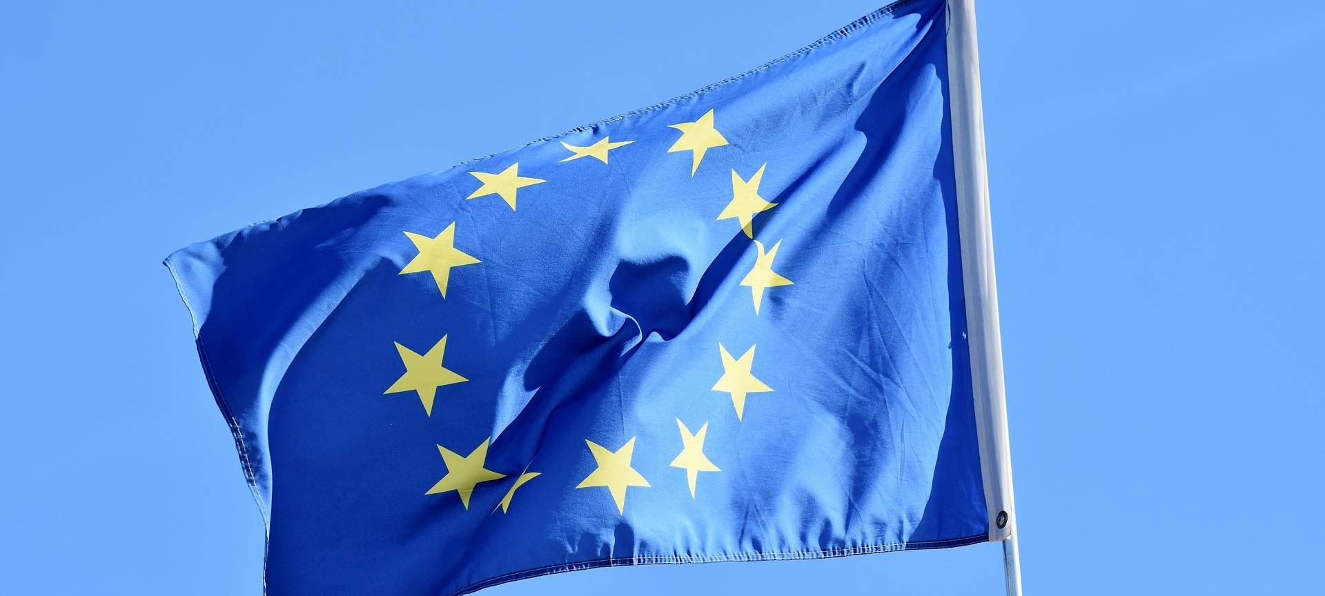 Kai Zwicker zur EU-Wahlbeteilungswette