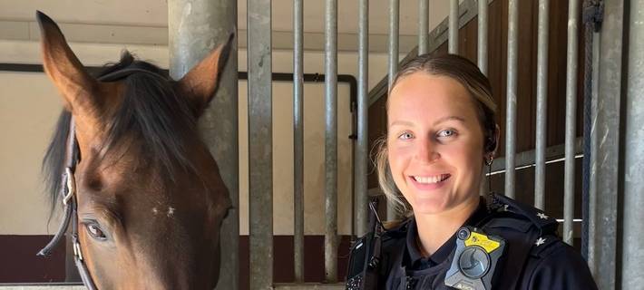 Pferd findet Vermisste