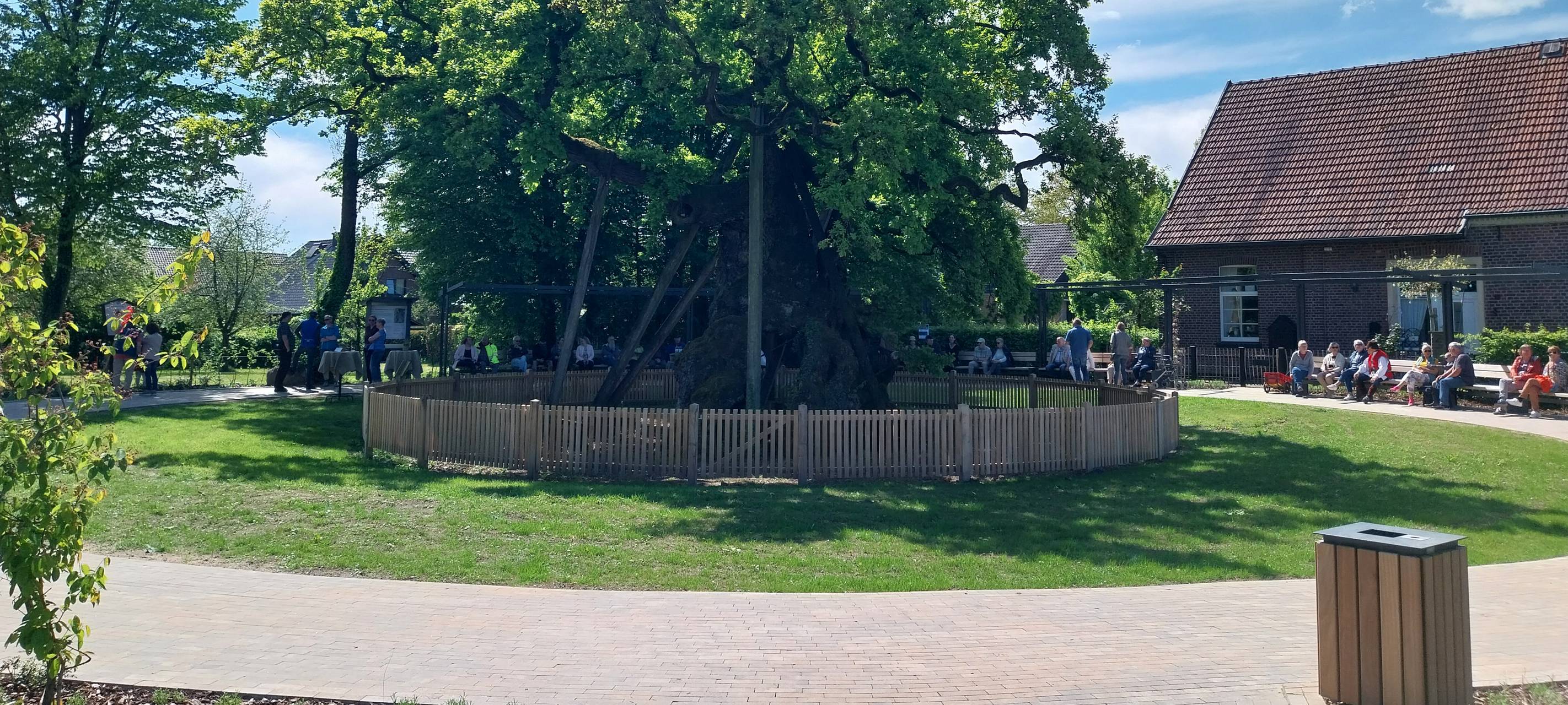 Baum-Experte lobt Femeichenpark Erle