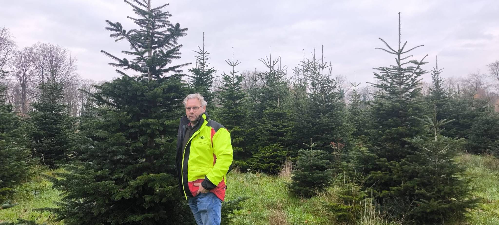 Folge 5: Zukunft im Ohr - Echter oder Plastikbaum?