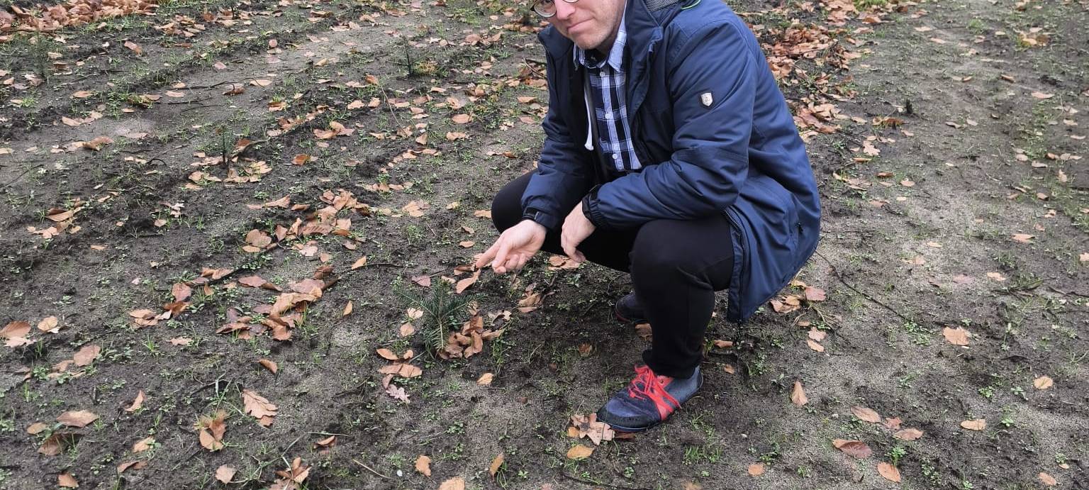 Folge 5: Zukunft im Ohr - Echter oder Plastikbaum?