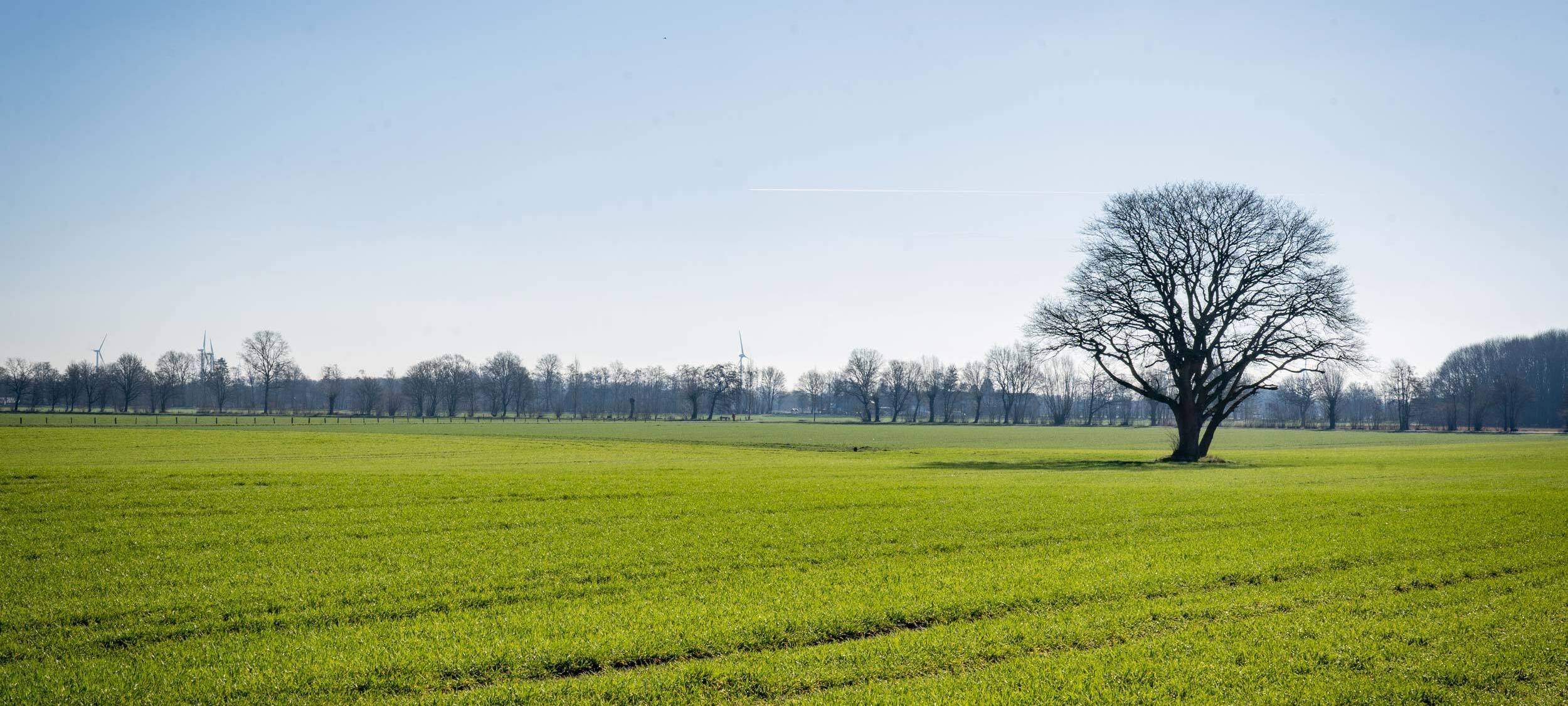 Bald Bewerbungsschluss für Nachhaltigkeitspreis Bocholt