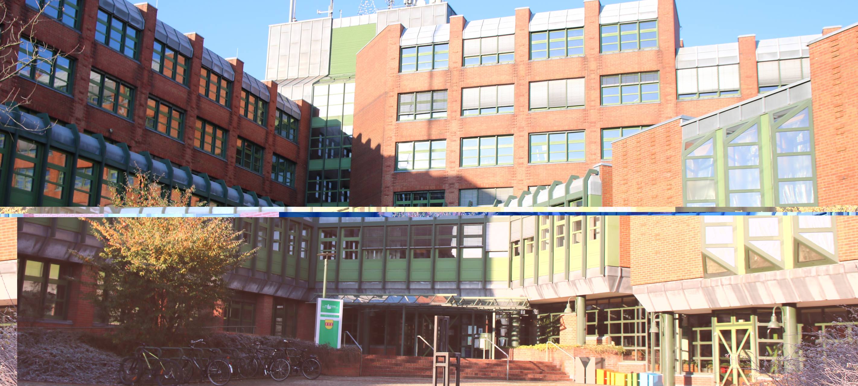 Öffnungszeiten zu Karneval