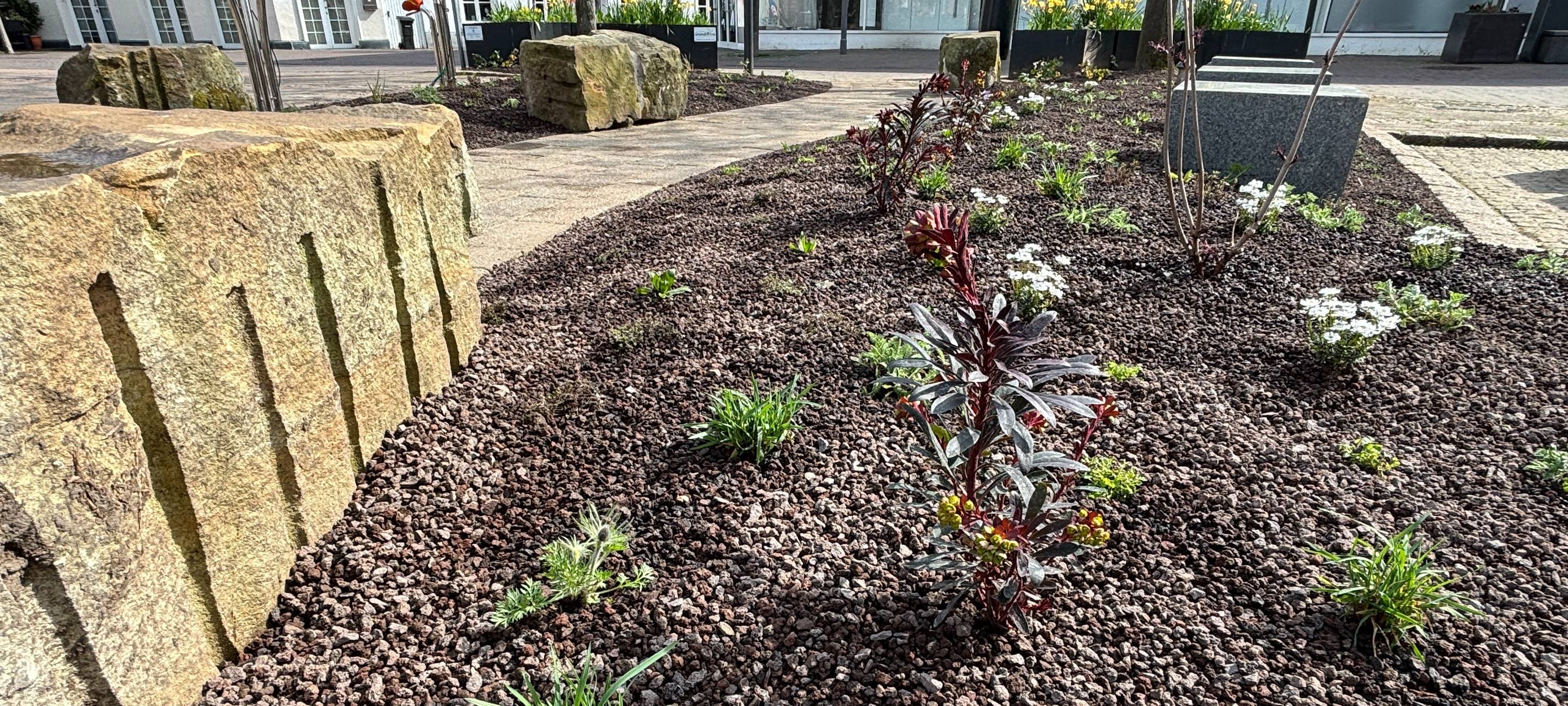 "Abpflastern" in Rhede