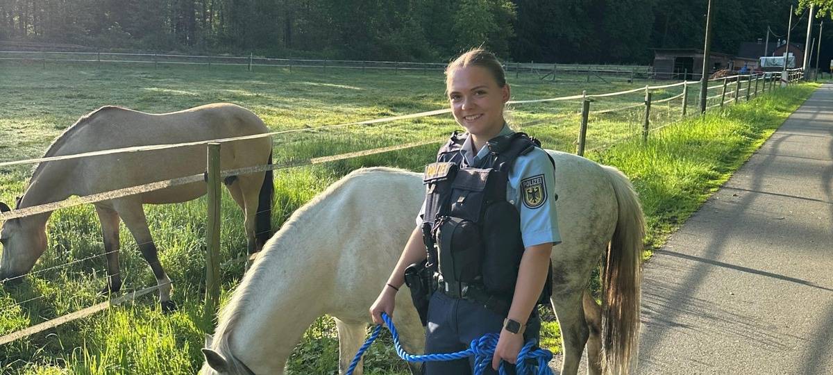 Pony legte Bahnverkehr lahm