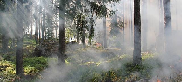 Erhöhte Waldbrandgefahr auch im Kreis Borken