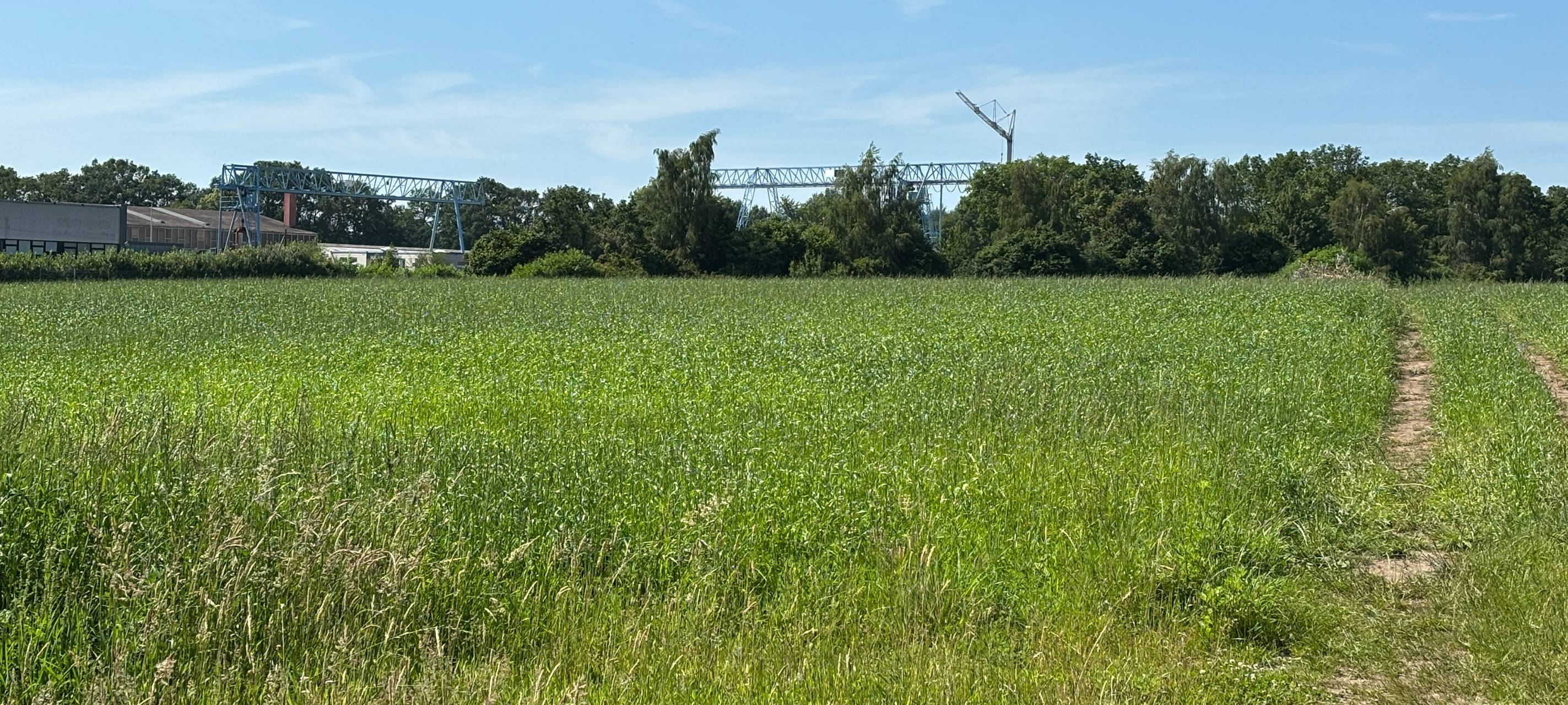 Wichtiger Schritt für Gewerbegebiet Rhede-West
